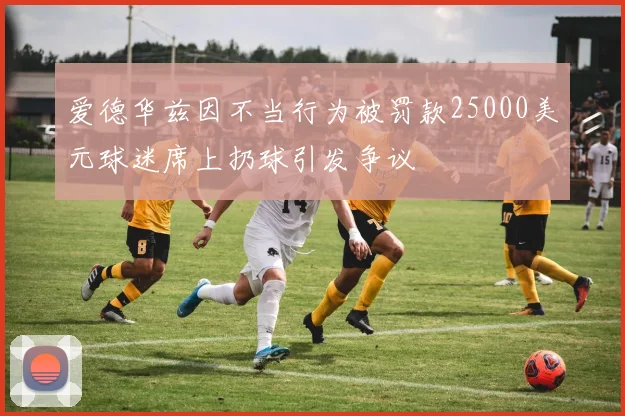 爱德华兹因不当行为被罚款25000美元球迷席上扔球引发争议