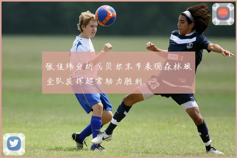 张佳玮分析戈贝尔末节表现森林狼全队发挥超常助力胜利