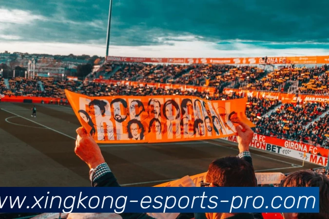 App Interface Preview